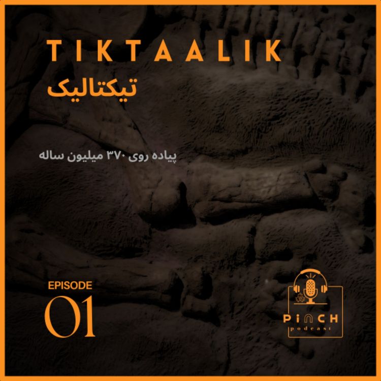 cover art for #1-تیکتالیک