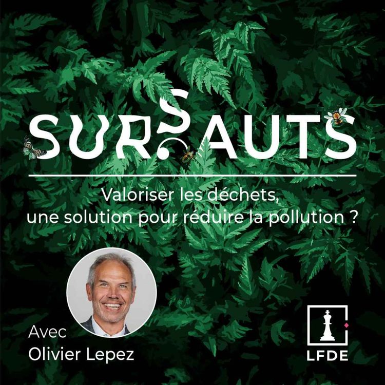 cover art for Valoriser les déchets, une solution pour réduire la pollution ?