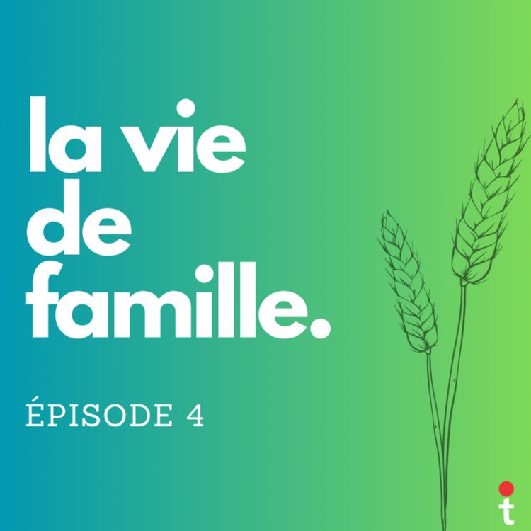 cover art for Médecin de campagne, la vie de famille