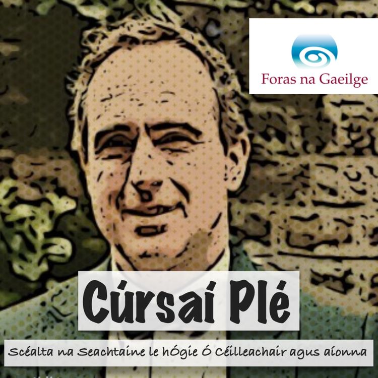 cover art for 04 Cúrsaí Plé