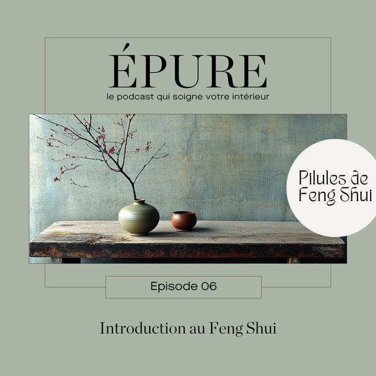 cover art for Feng Shui, une courte introduction