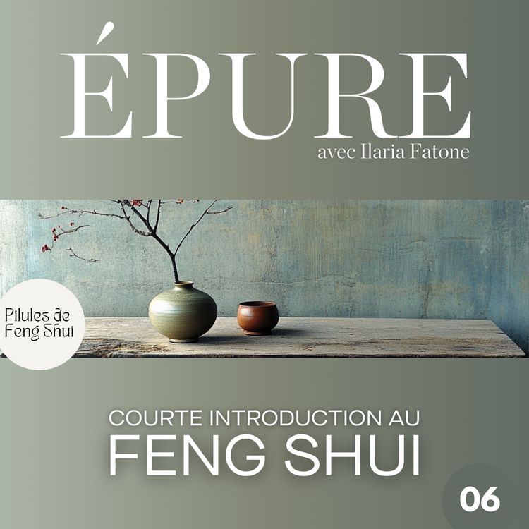 cover art for Feng Shui, une courte introduction