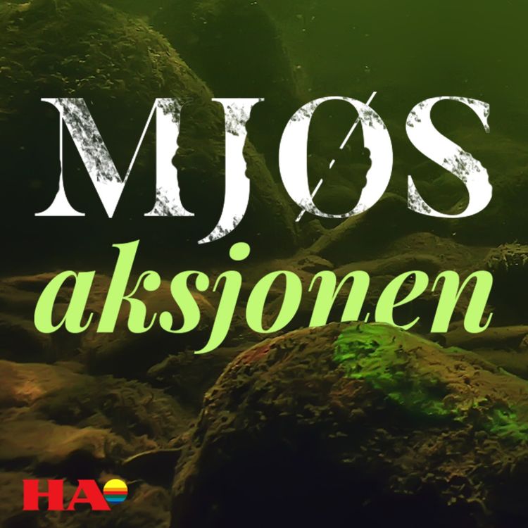 cover art for Mjøsaksjonen - Trusselen (1:3)