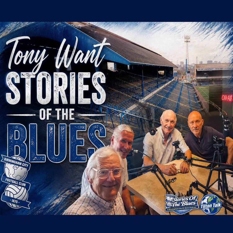 cover art for Tony Want-Stories Of The Blues