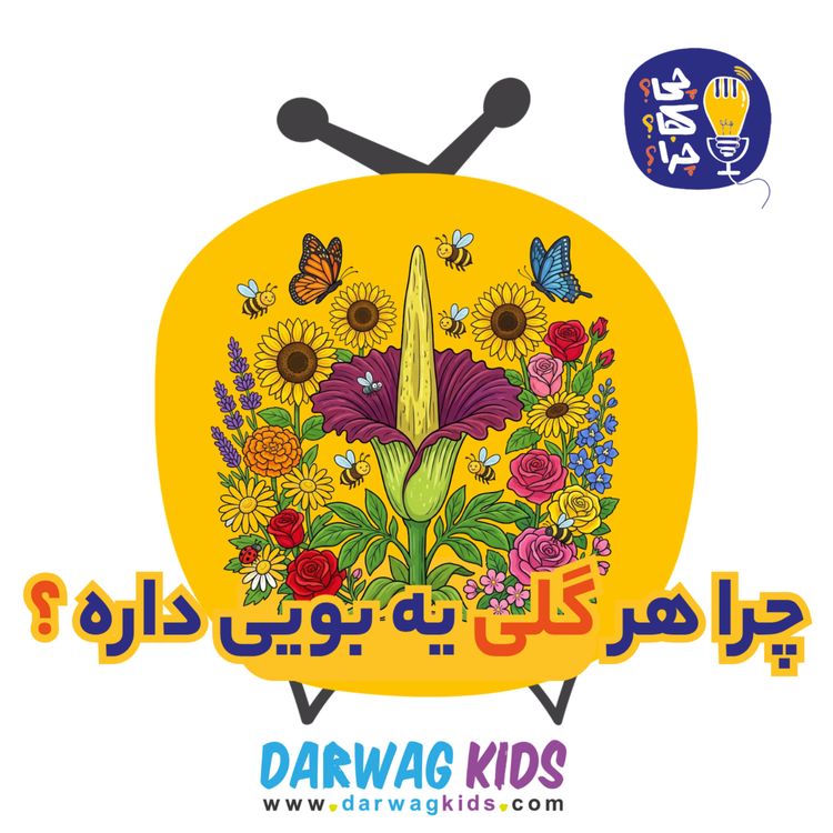 cover art for چرا هر گلی یه بویی داره؟