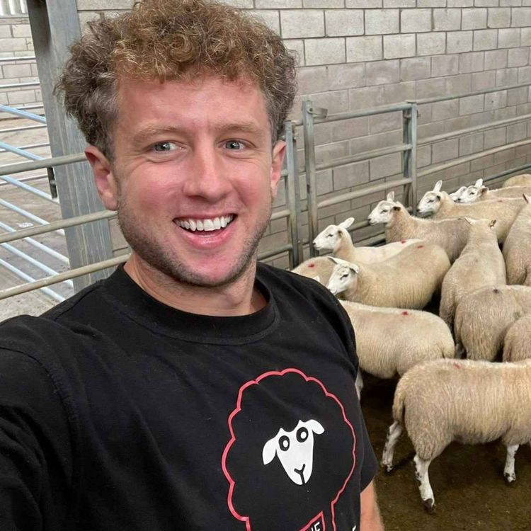 cover art for The Sheep Farmer