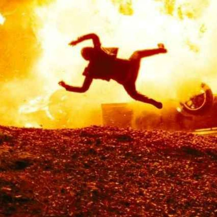 cover art for The Stunt Performer