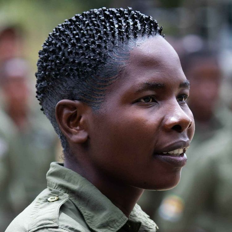 cover art for The Anti-Poaching Ranger