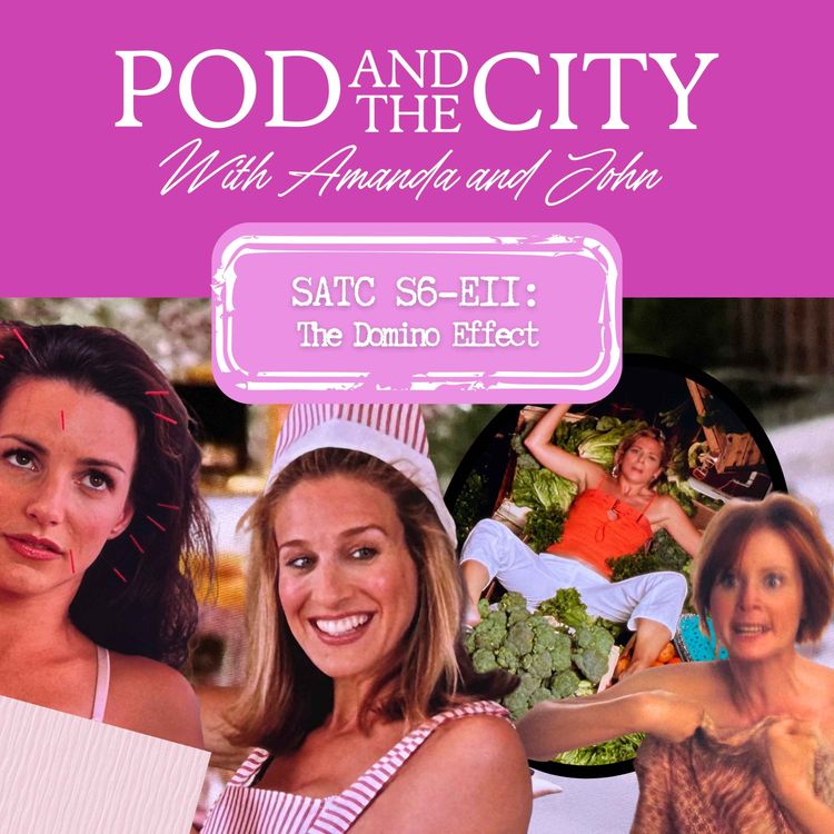 cover art for Sex and the City S6 E11 "The Domino Effect"