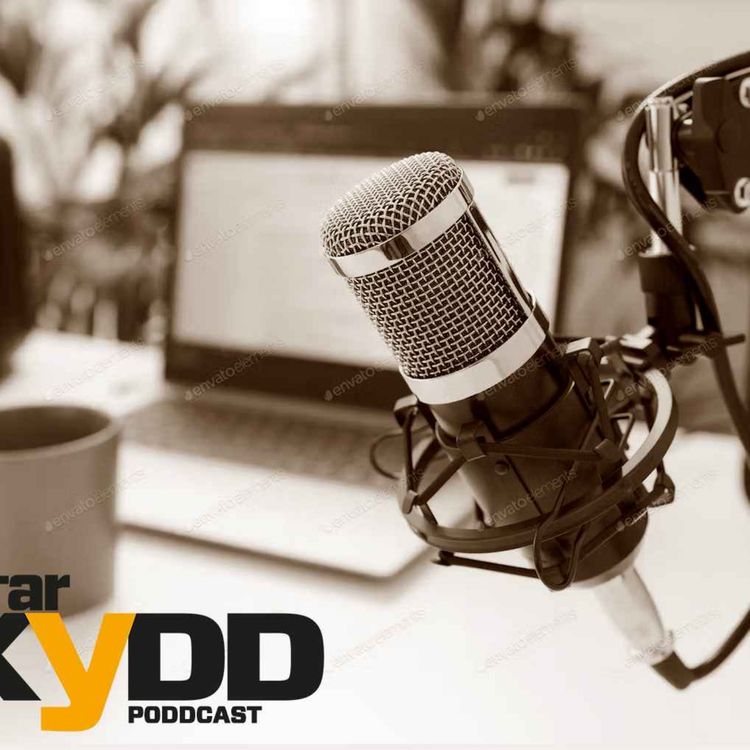 cover art for Så landar regeringen i fler inspektioner