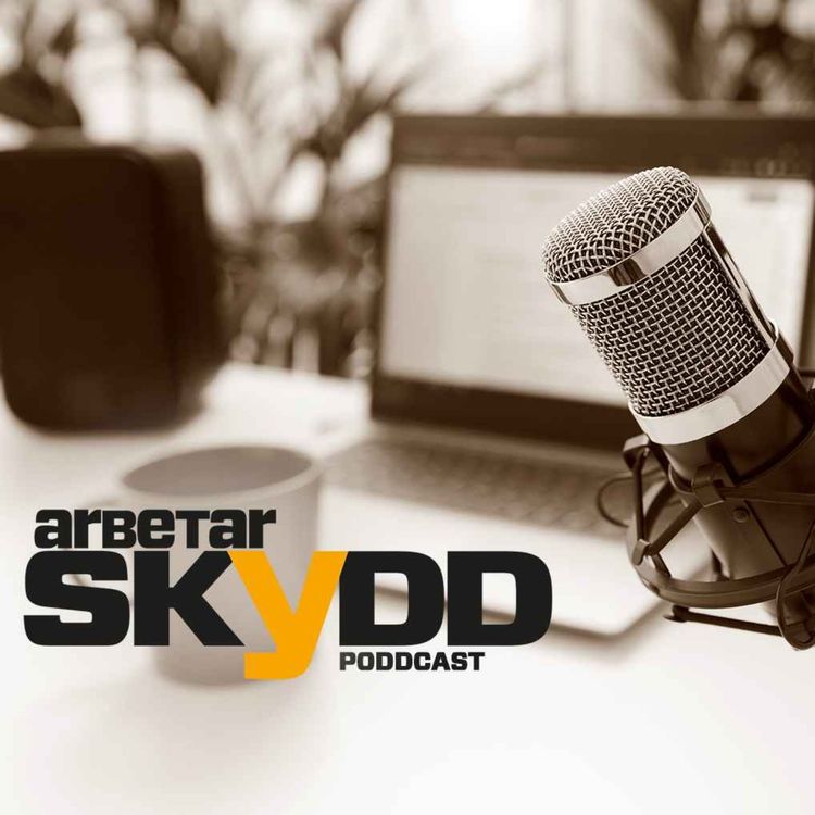 cover art for Så påverkar EU svensk arbetsmiljö