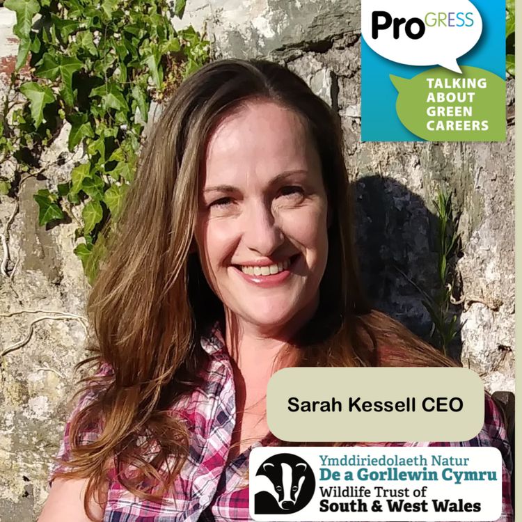 cover art for Sarah Kessell CEO of The Wildlife Trust of South and West Wales
