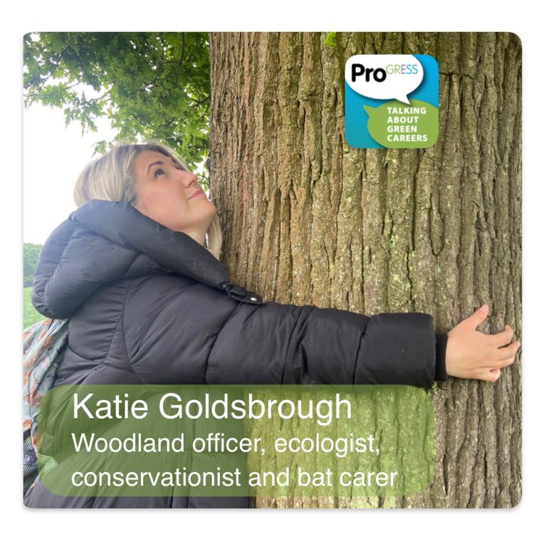 cover art for Katie Goldsbrough, Woodland officer, ecologist, conservationist and bat carer