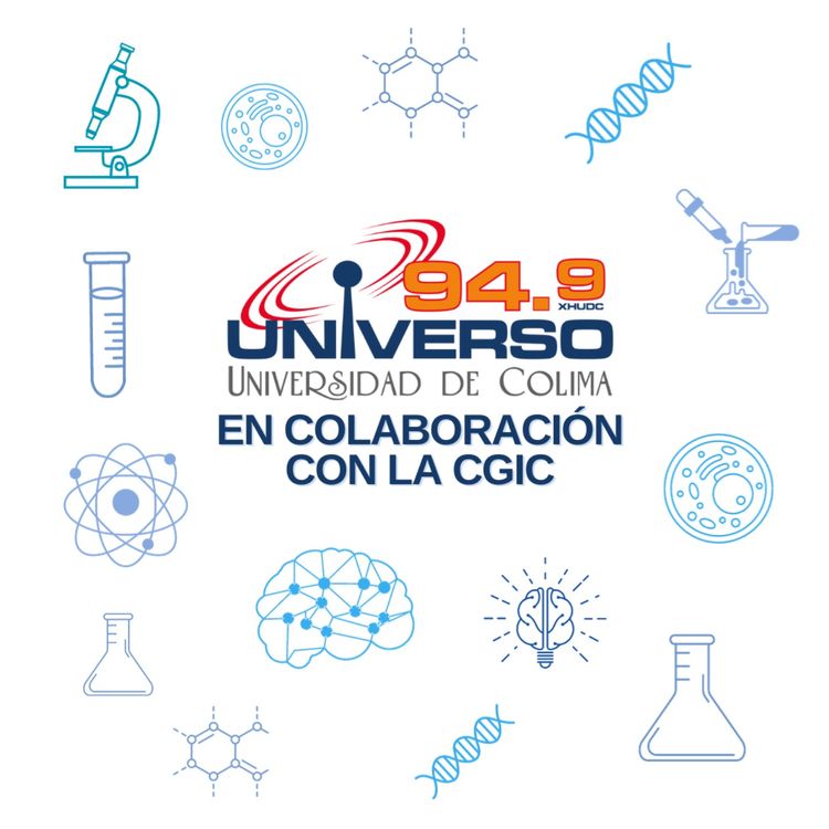 cover art for  Importancia de la mercadotecnia, publicidad y relaciones públicas en la investigación.