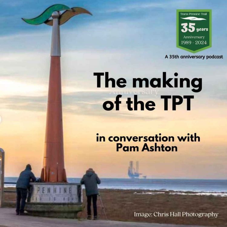 cover art for The making of the TPT with Pam Ashton