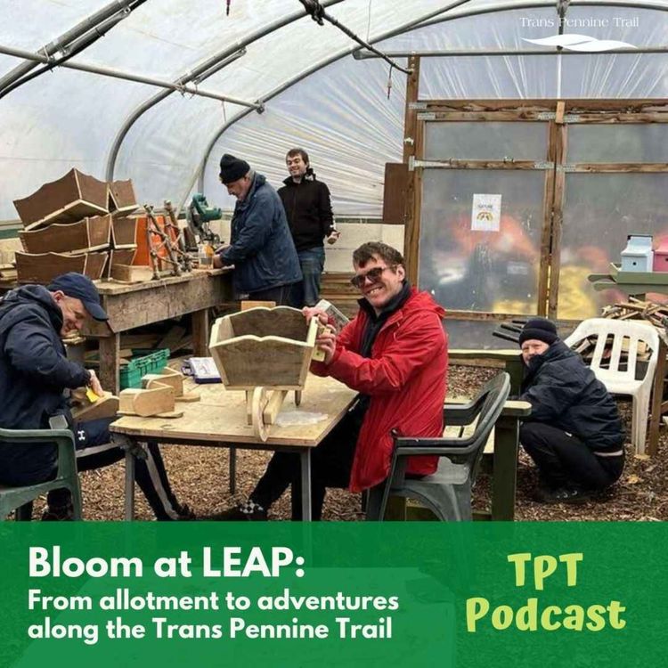 cover art for Bloom at LEAP: From allotment to adventures along the Trans Pennine Trail