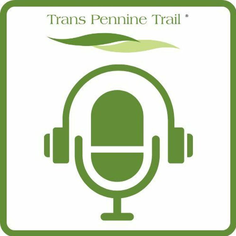 cover art for Episode 2 - Magic Wood Cafe