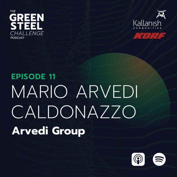 cover art for Episode 11: Mario Arvedi Caldonazzo, Arvedi Group 