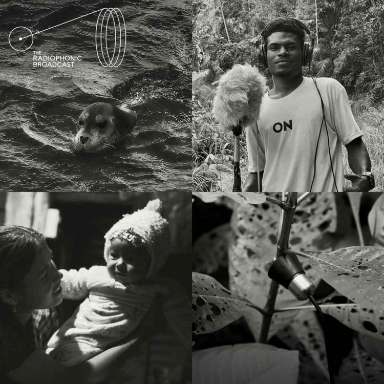 cover art for Sound Of The Year Awards 2025-26