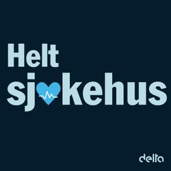 cover art for Helt sjukehus