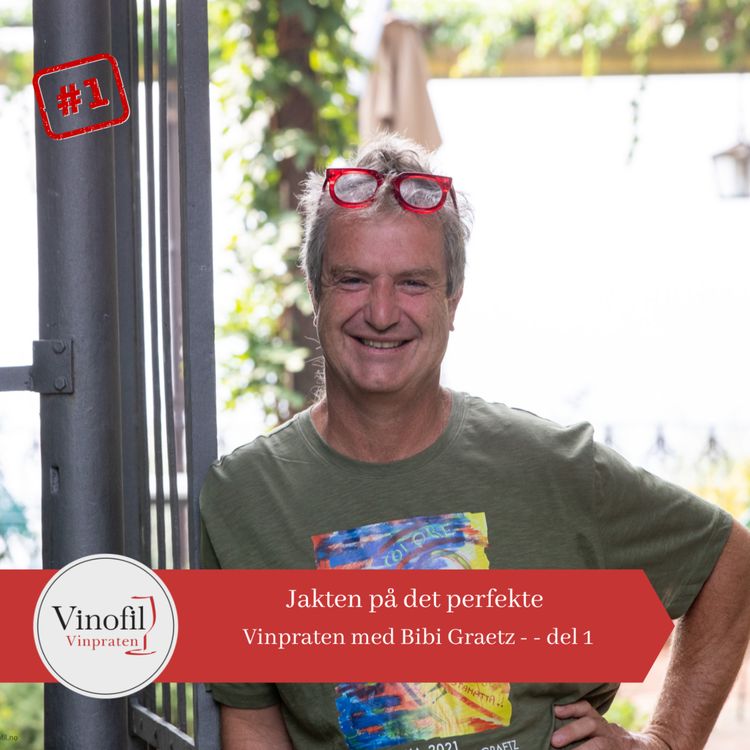 cover art for Bibi Graetz - Jakten på det perfekte - del 1