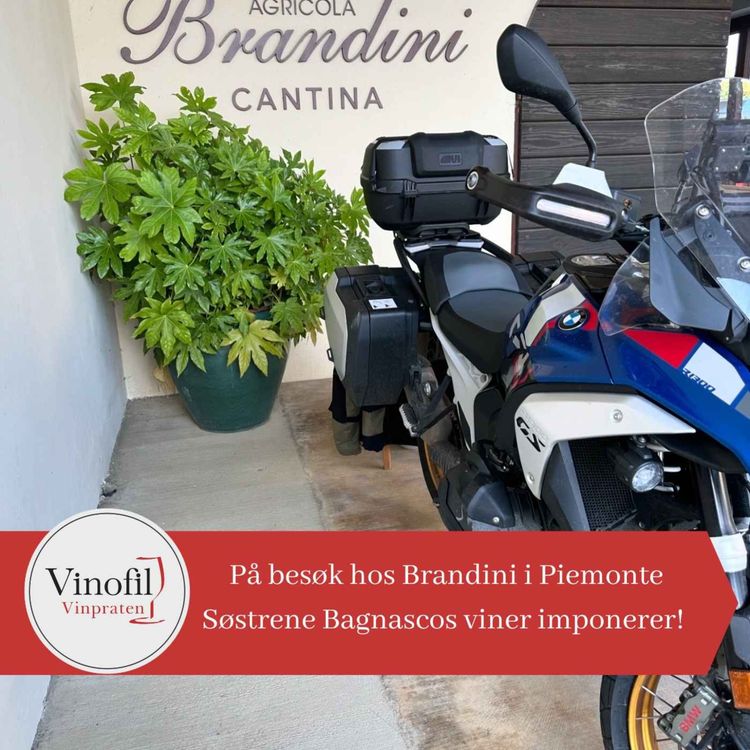 cover art for Brandini imponerer