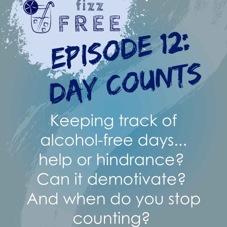 cover art for Day Counts