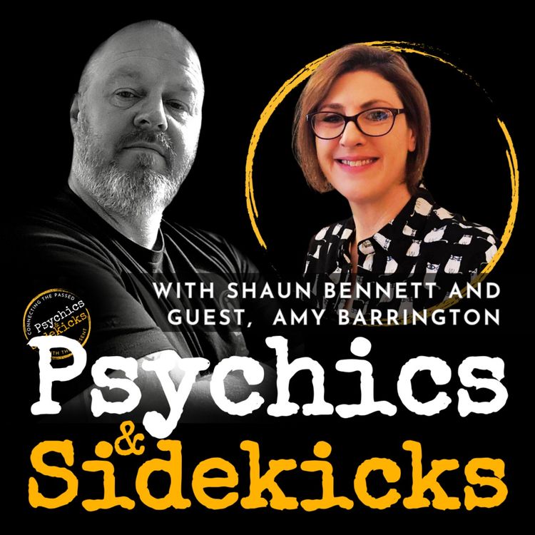 cover art for The Voice Within: How Psychic Abilities Helped Amy Barrington Navigate Life's Challenges