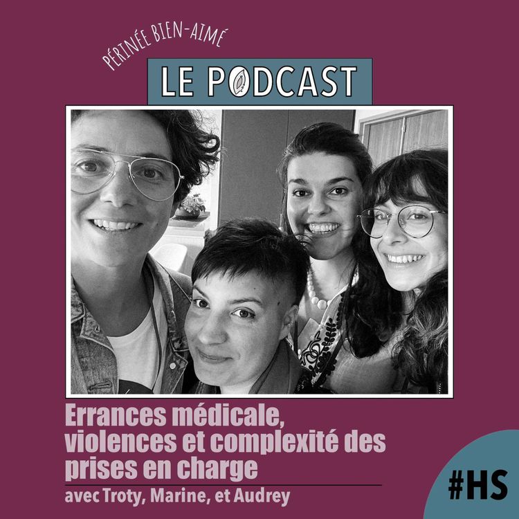 cover art for Errances médicale, violences et complexité des prises en charge pour les personnes souffrants de douleurs vulvaires et périnéales