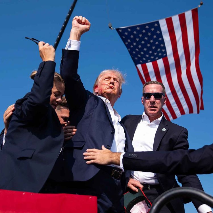 cover art for Episode 84: The Decline of the Jest