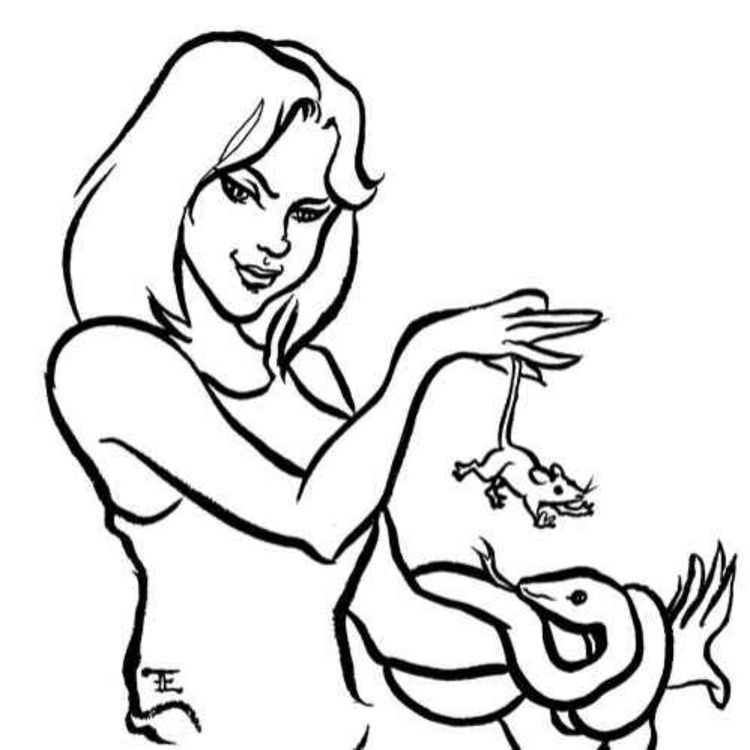 cover art for The Blacksmith and the Pirate