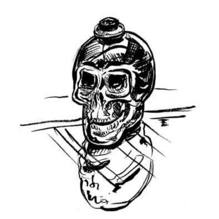 cover art for The Fairies