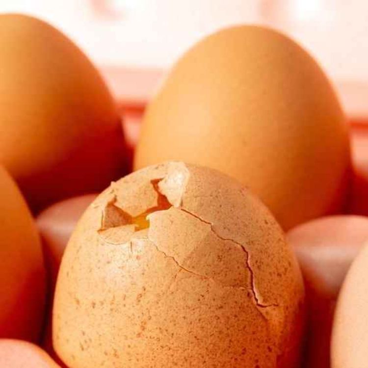 cover art for Eggshells Part 3