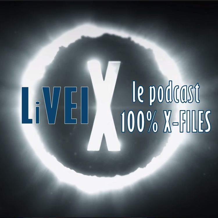 cover art for The Y Files : Frédéric Gai nous parle de son livre The X-Files: histoires sans fin