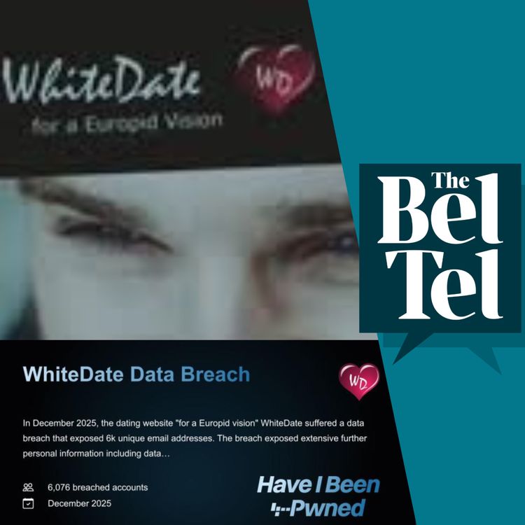 cover art for Northern Ireland and ‘Nazi Tinder’: Single, lonely, and looking to ‘breed white’