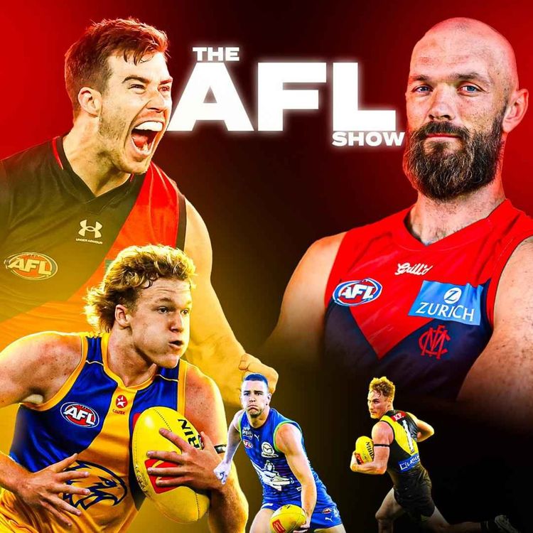 cover art for AFL Show S03E35: 18th to 14th Season Reviews!