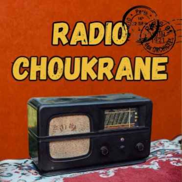 cover art for Notre relation avec la langue arabe