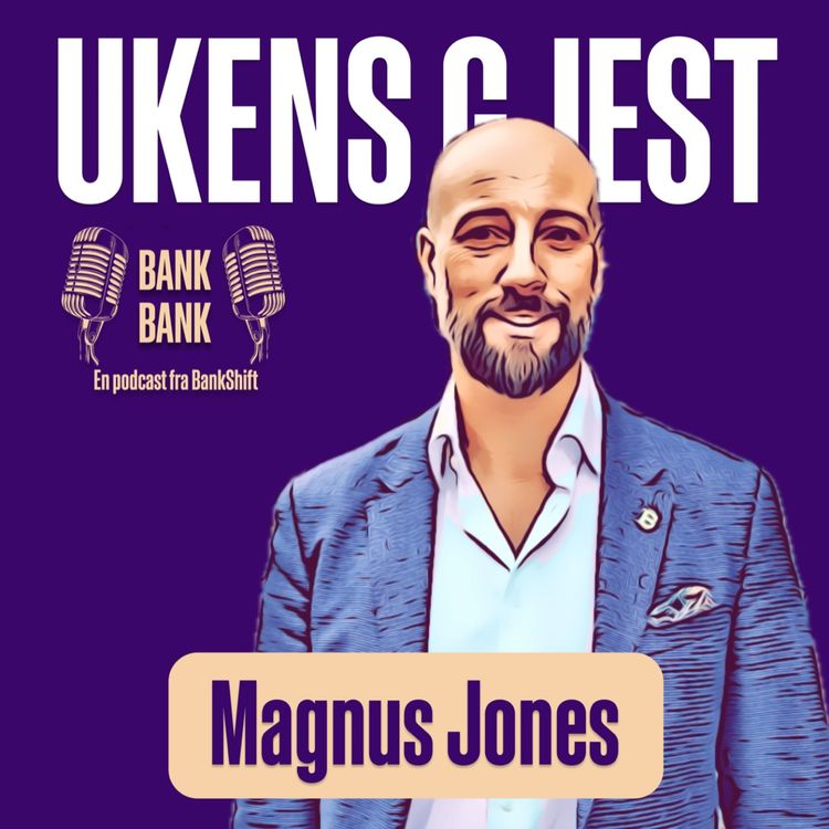 cover art for Vidunderlige nye finansverden