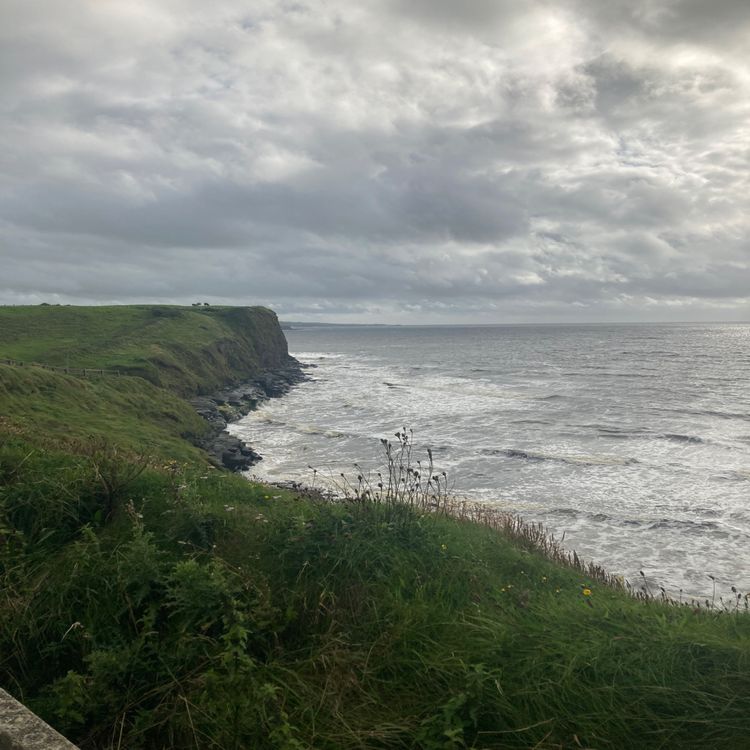 cover art for Poetry and ways to cope with anticipatory grief and anxiety 