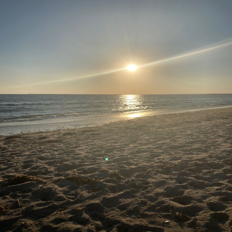 cover art for Cold water therapy, poetry, journaling, creating art