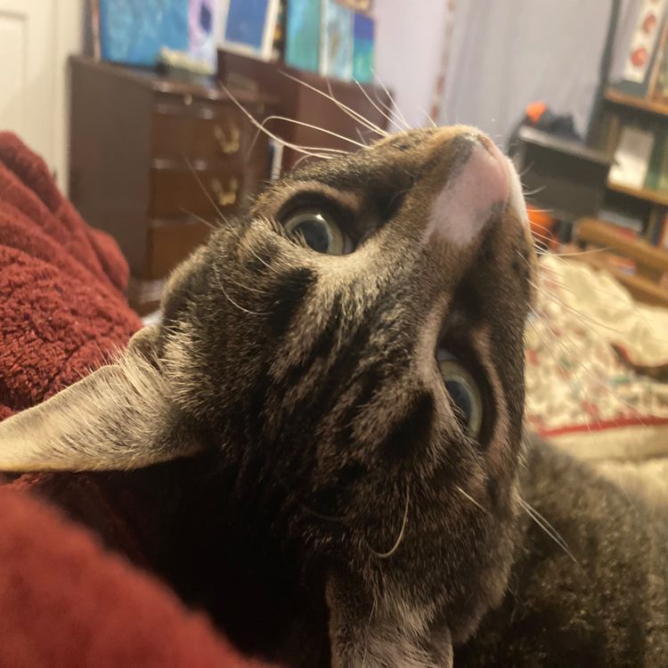 cover art for Let’s talk about the times we get in a bit of a funk