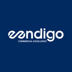 cover art for Eendigo Commercial Excellence