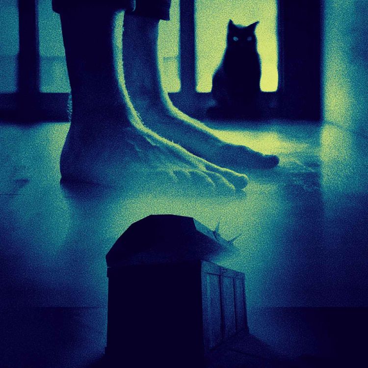 cover art for Pies Fríos