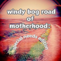 cover art for the windy bog road of motherhood: special needs edition