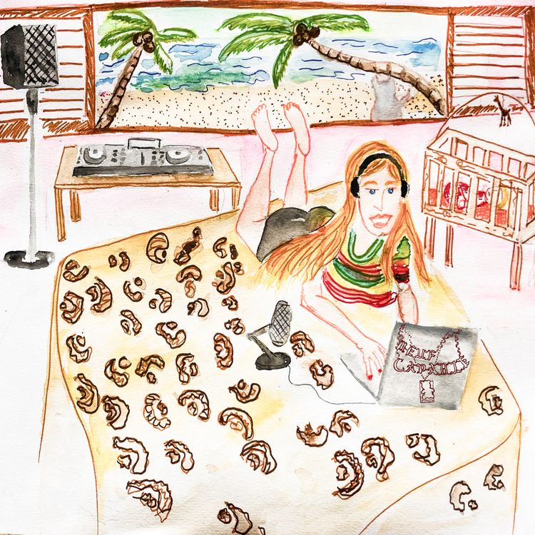 cover art for année 1, retour au Brésil, nouvelle vie de maman et vision board 2026