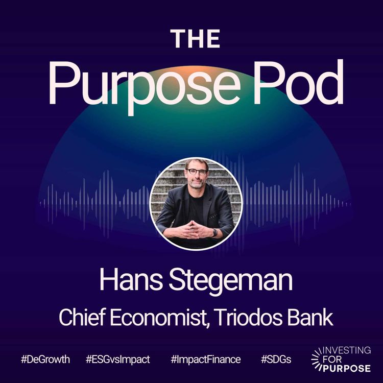 cover art for Hans Stegeman of Triodos Bank on ESG vs Impact, Transformative Finance and the true meaning of DeGrowth