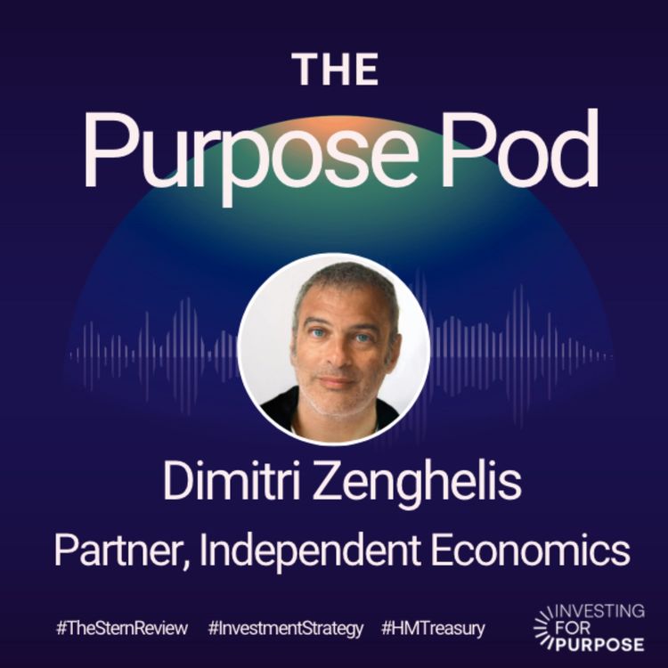 cover art for Dimitri Zenghelis on optimising investment strategies for the climate change transition