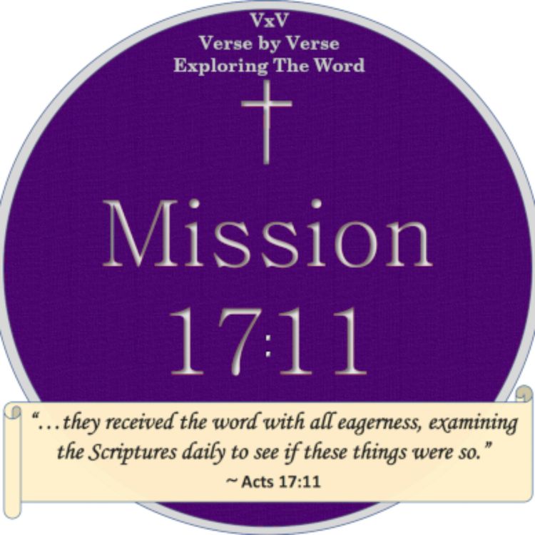 cover art for Gospel of John introductory overview