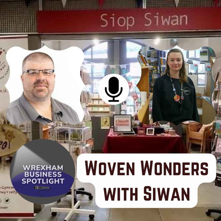 cover art for Woven Wonders