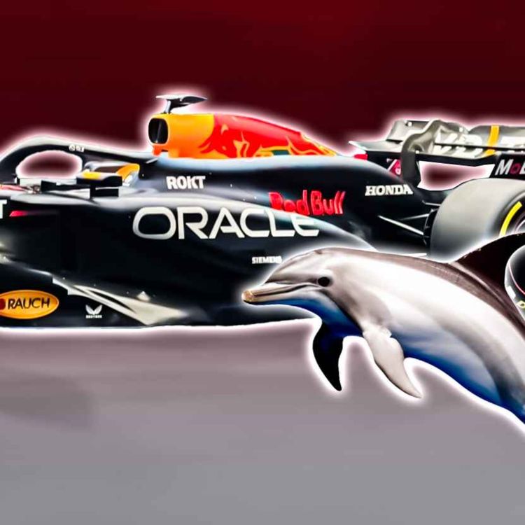 cover art for My Instant Reaction To The 2024 Red Bull F1 Car